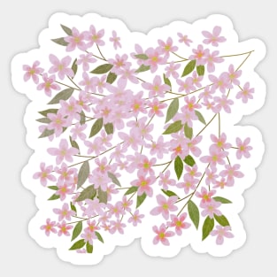 Spring in Korea,a feast of flowers,pink flower Sticker